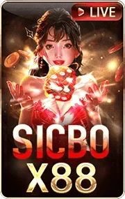 sibco